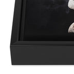 Mistery Moon Framed Canvas Print Gallery Image 3
