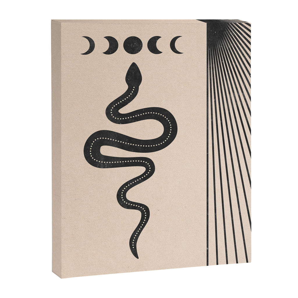 Snake Geometry Canvas Print Gallery Image 6