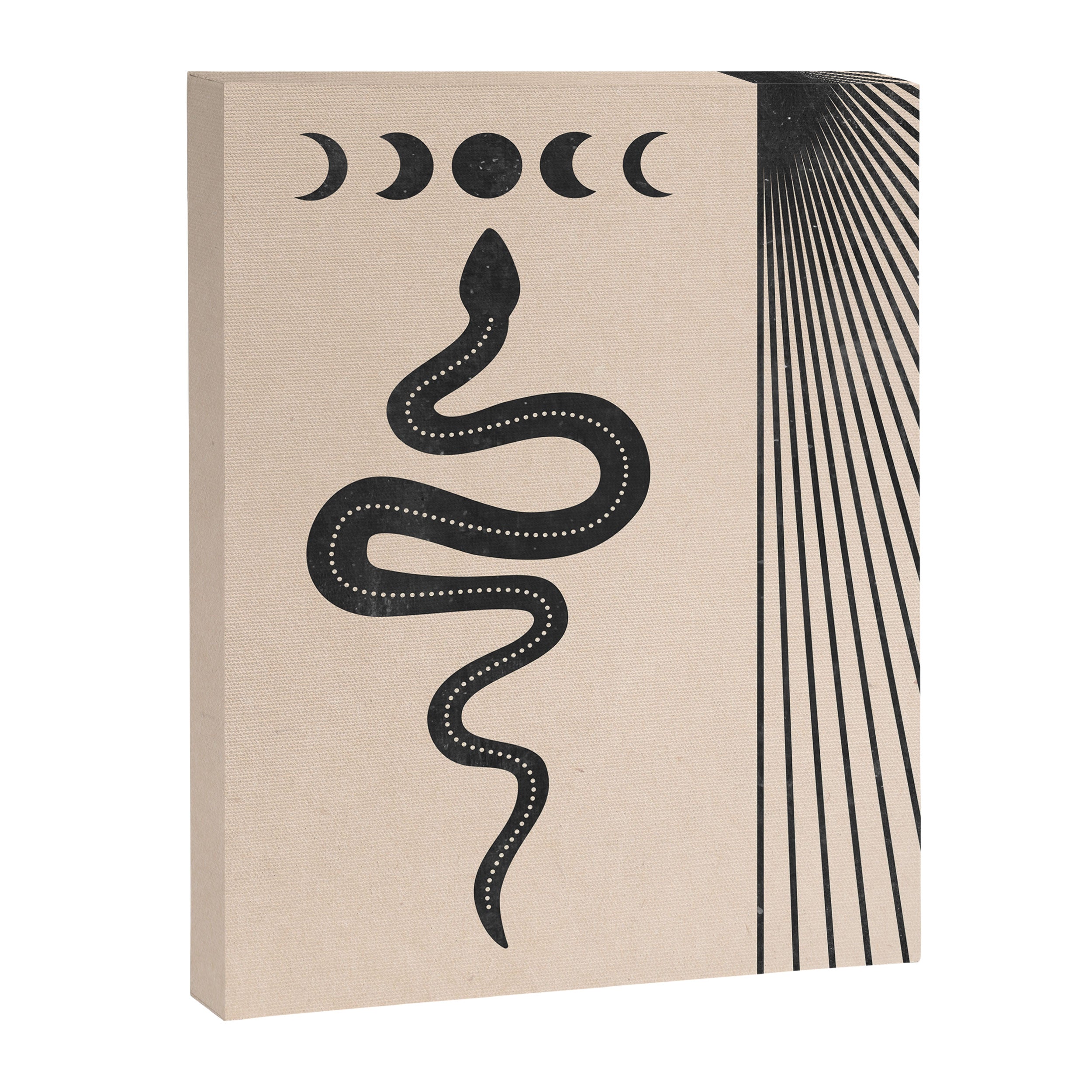 Snake Geometry Canvas Print Gallery Image 6