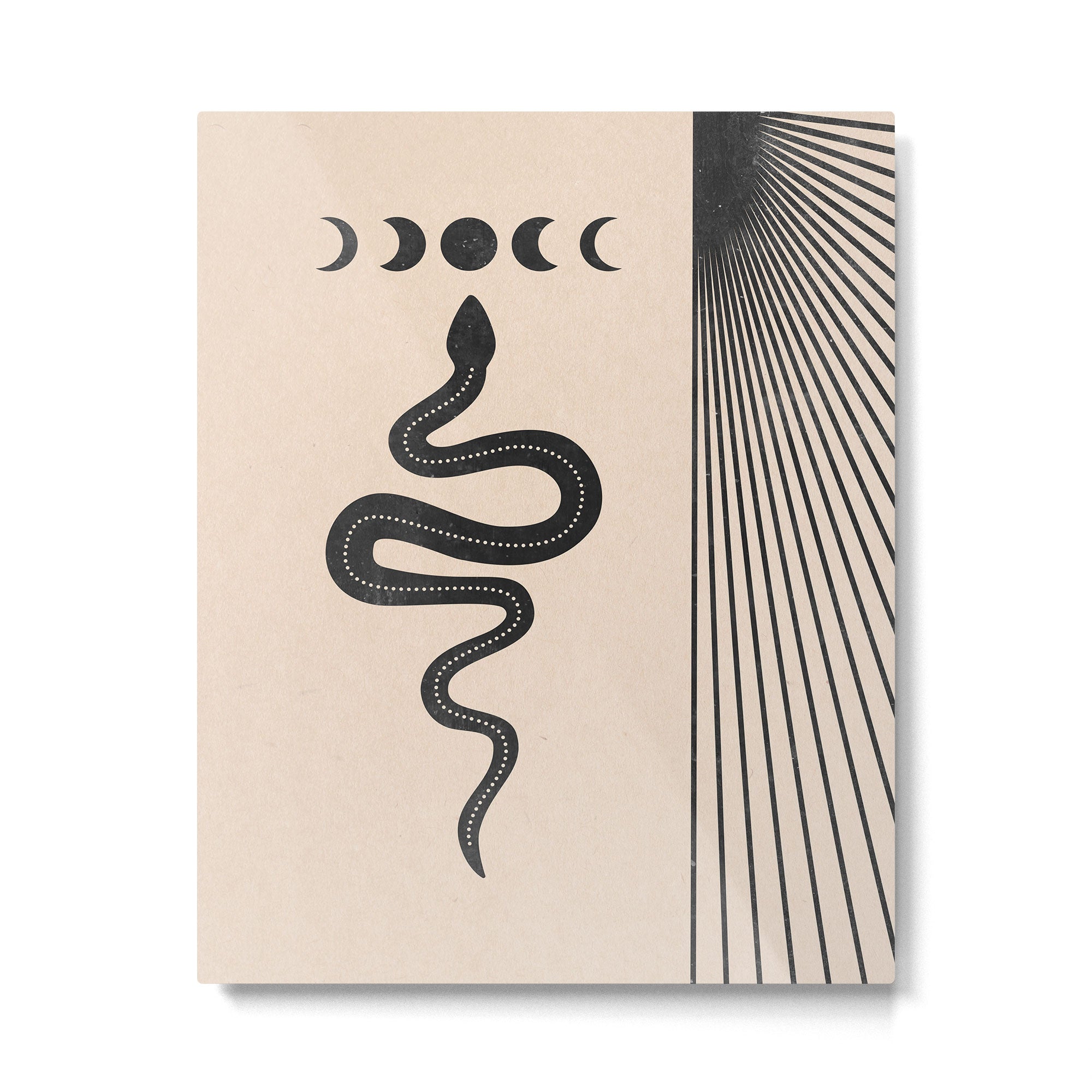 Snake Geometry Metal Print Gallery Image 4