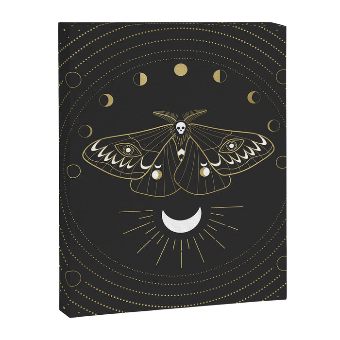The Moon Moth Canvas Print Gallery Image 1