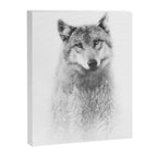 The Wolf and the Forest Canvas Print Gallery Image 6
