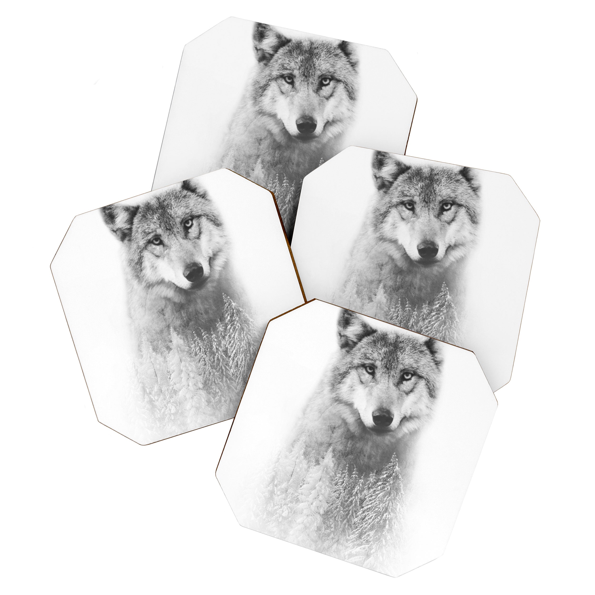 The Wolf and the Forest Coaster Gallery Image 1