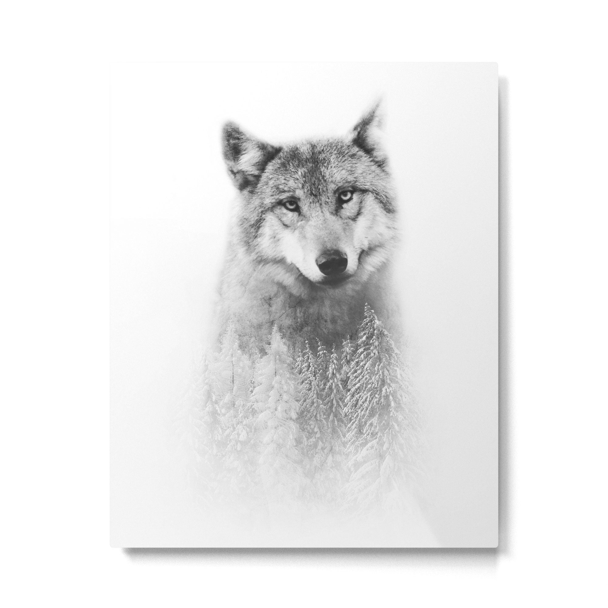 The Wolf and the Forest Metal Print Gallery Image 4