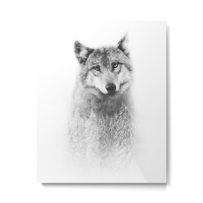 The Wolf and the Forest Metal Print Gallery Image 1