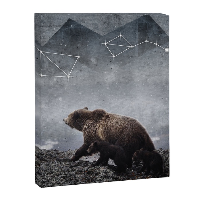 Ursa Major Canvas Print Gallery Image 1