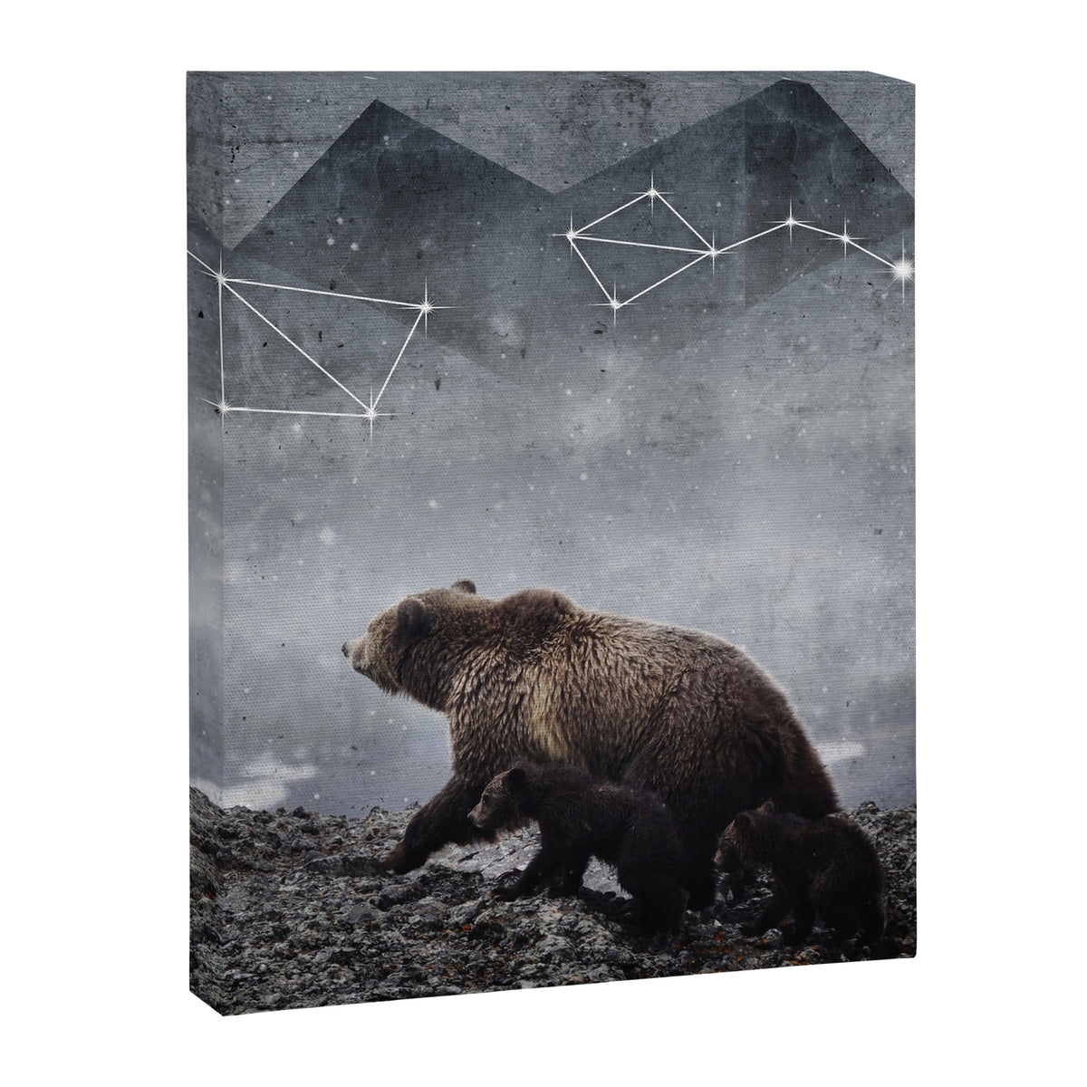 Ursa Major Canvas Print Gallery Image 6