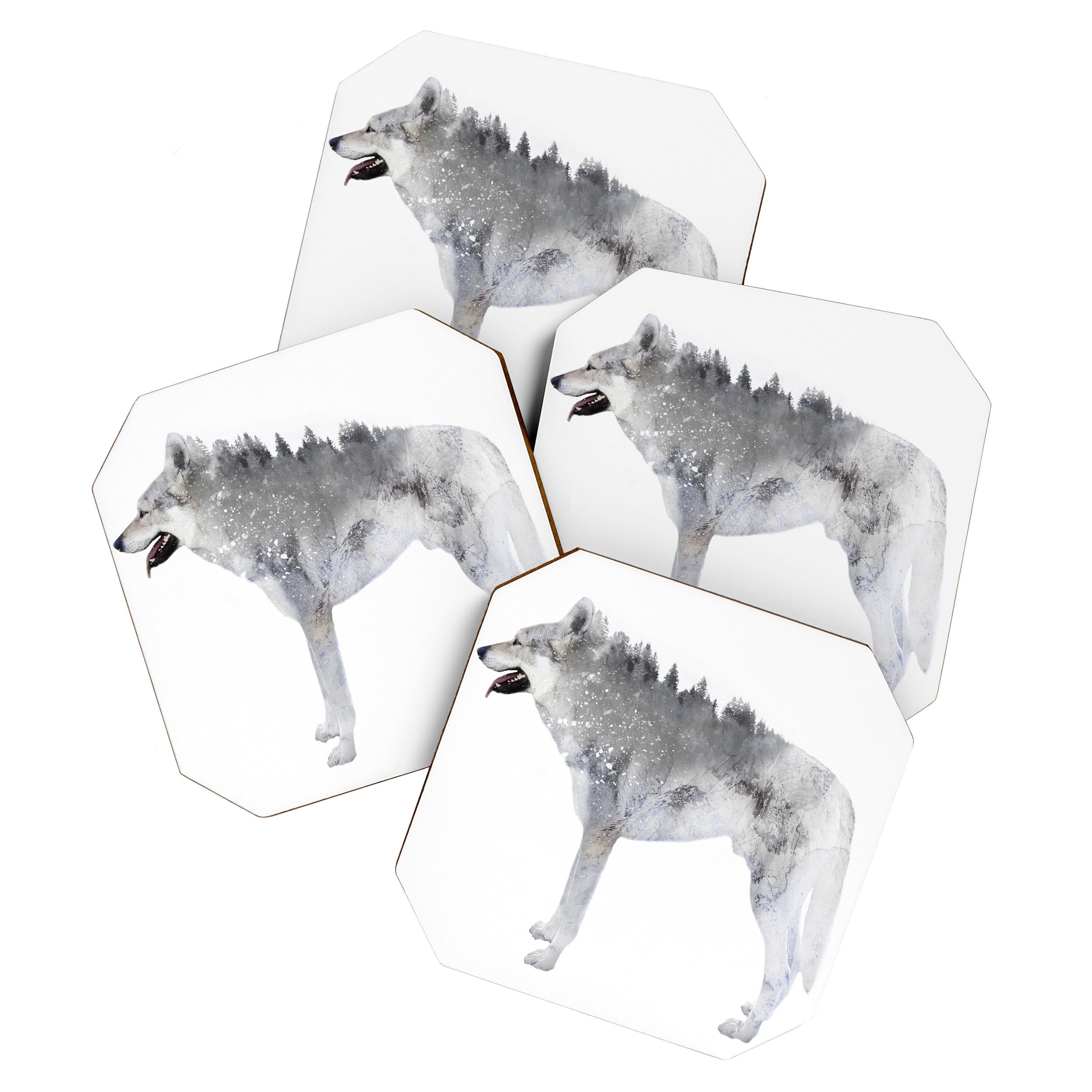 Winter Wolf Coaster Gallery Image 1