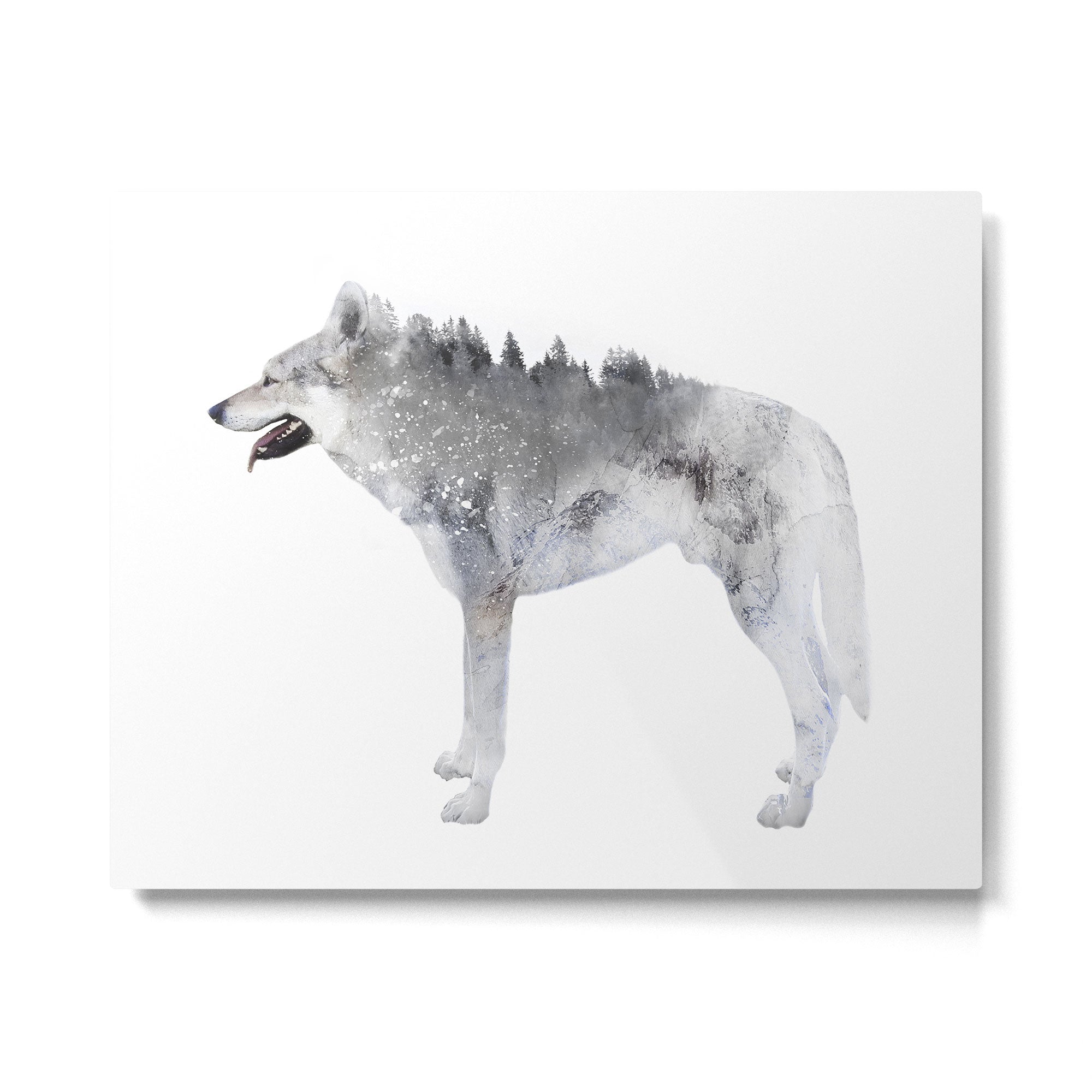 Winter Wolf Metal Print Gallery Image 4