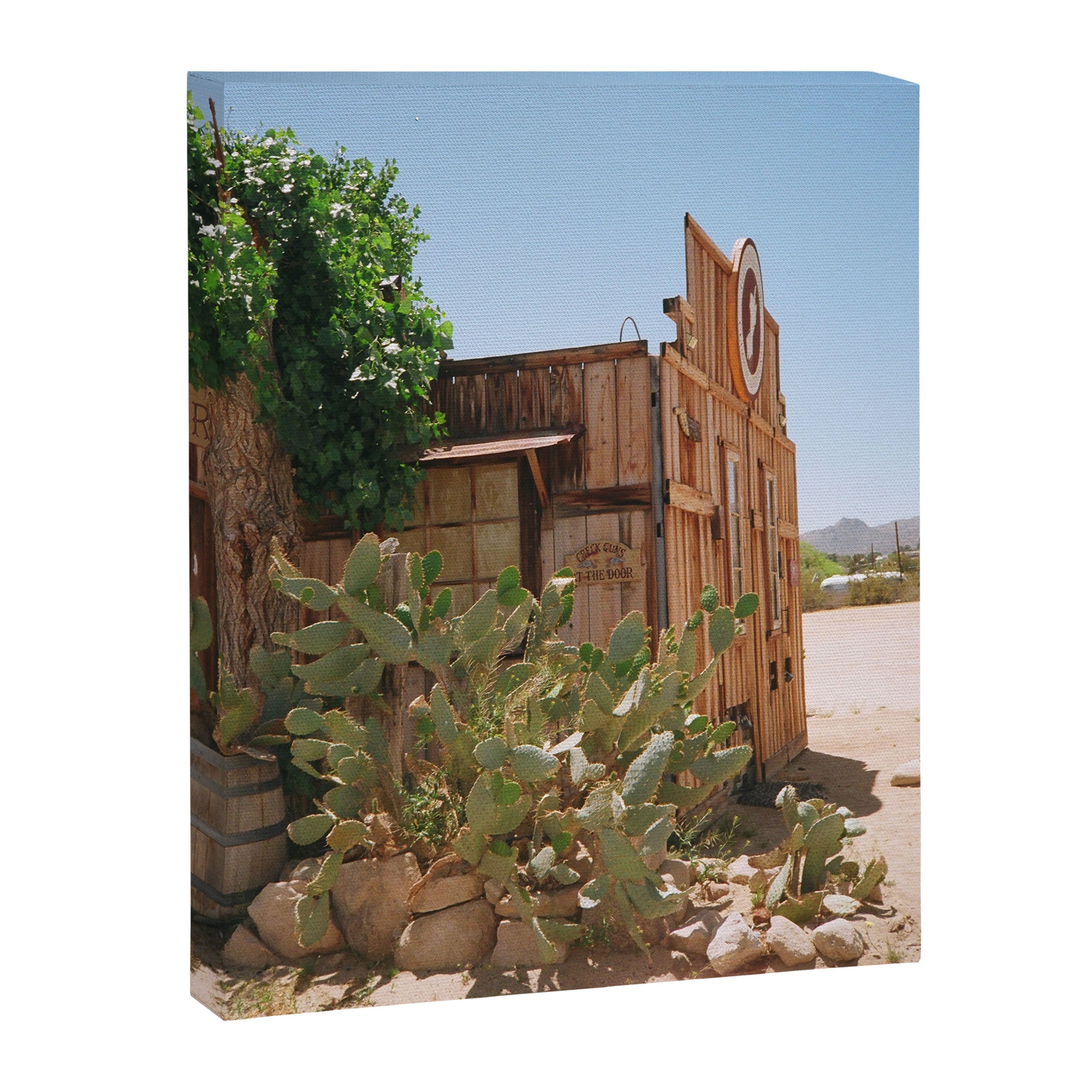Desert Dwell Canvas Print Gallery Image 6