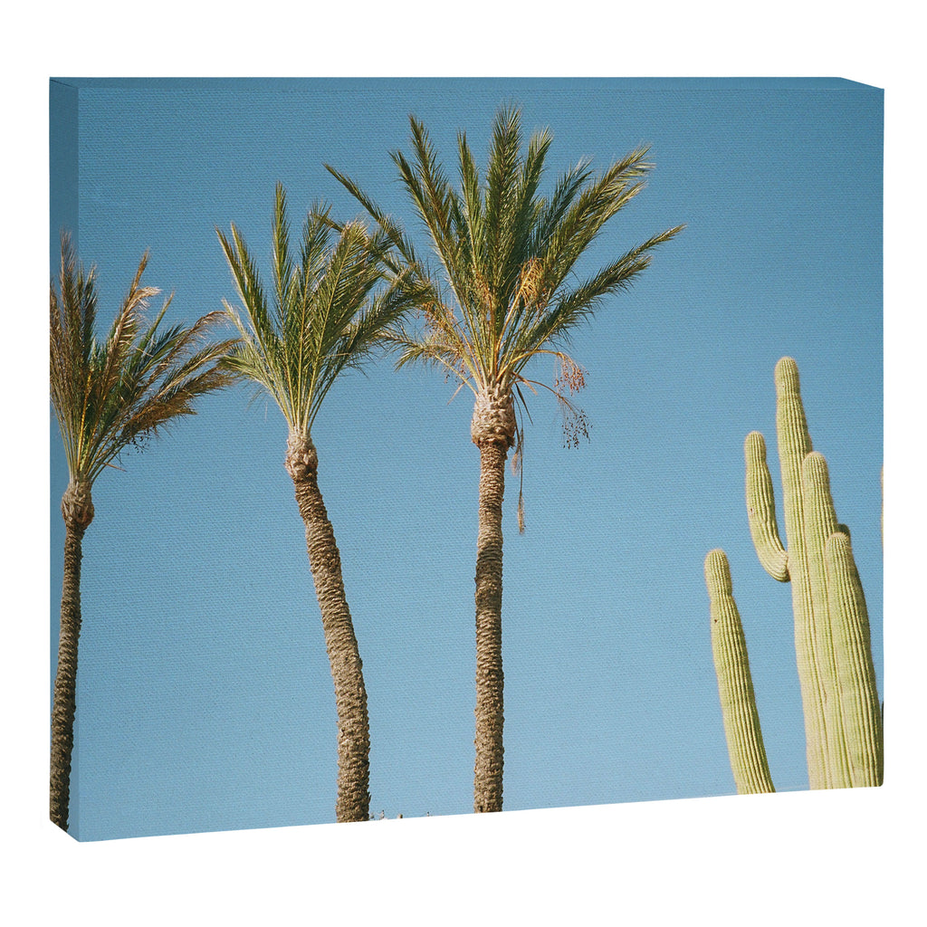 Flora  Canvas Print Gallery Image 6