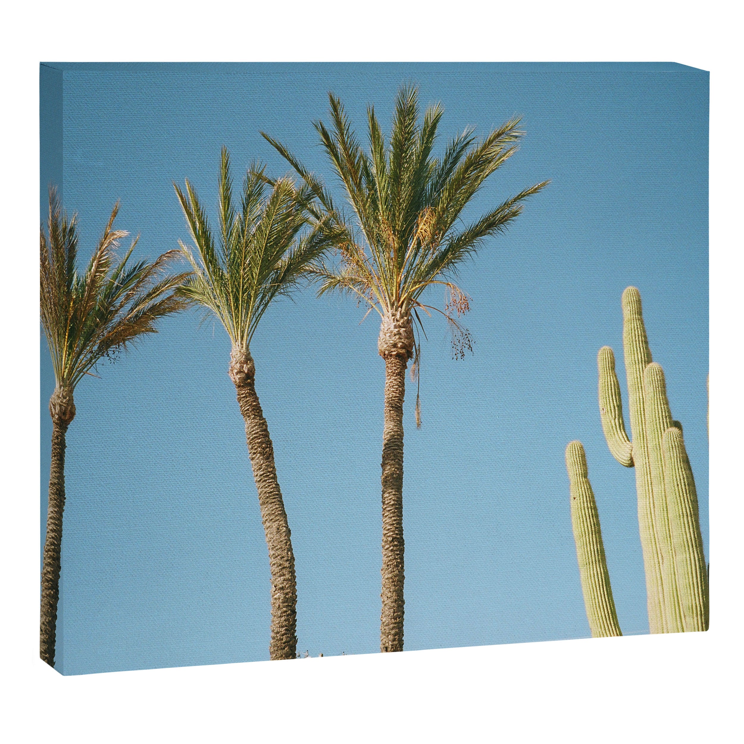 Flora  Canvas Print Gallery Image 6