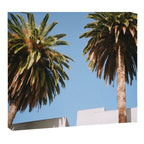LA Sky Canvas Print Gallery Image 6