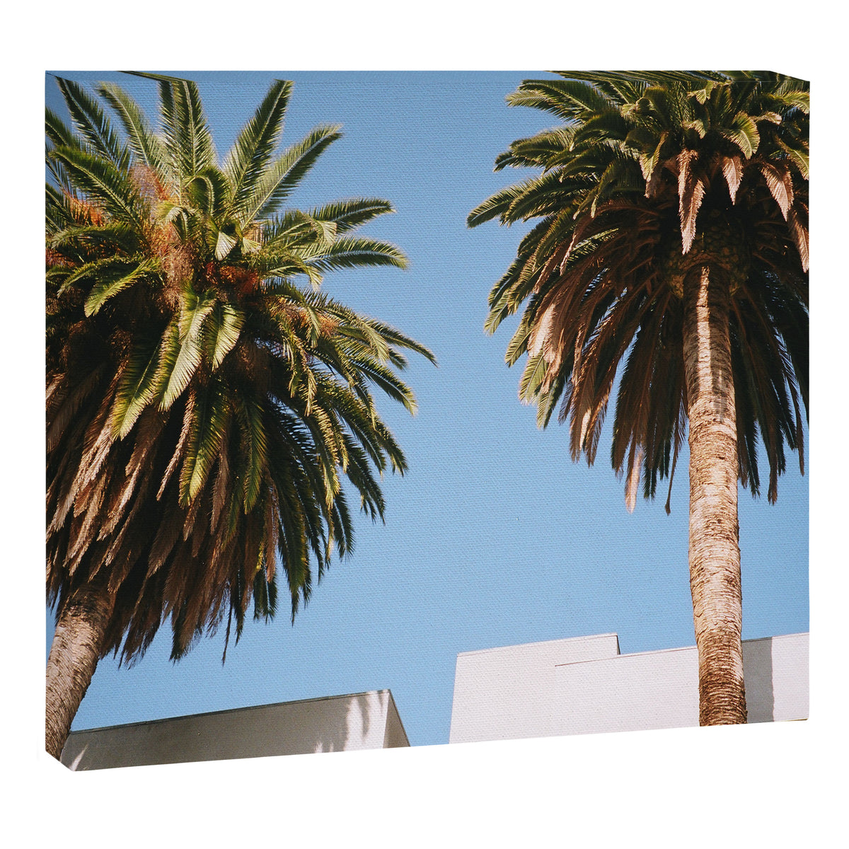 LA Sky Canvas Print Gallery Image 6