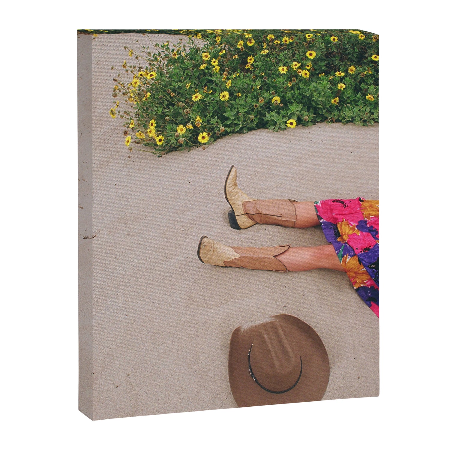 Malibu Daisy Canvas Print Gallery Image 6