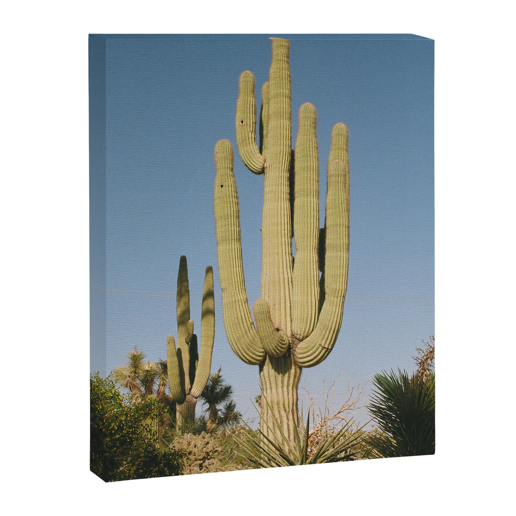 Yucca Valley Canvas Print Gallery Image 6