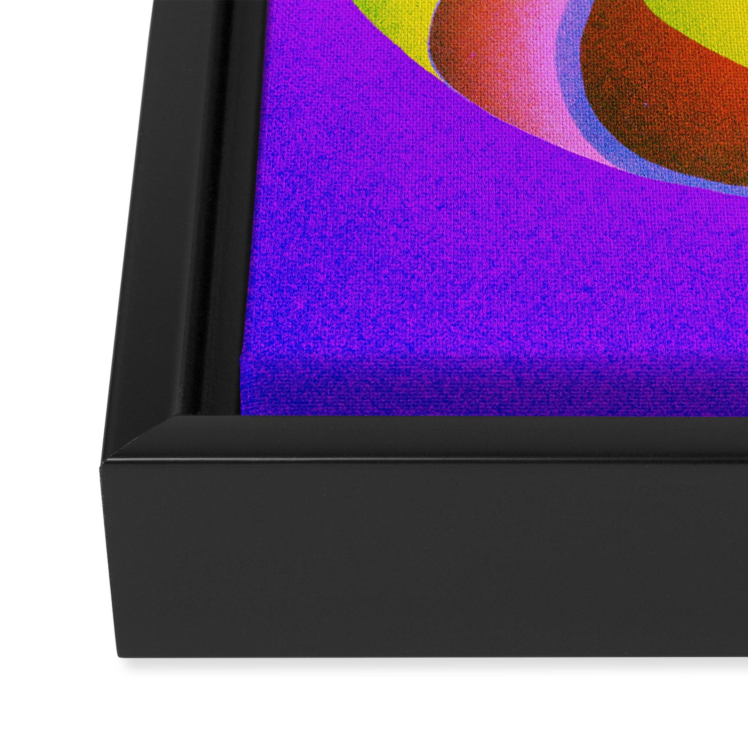 Point and Click Framed Canvas Print Gallery Image 3