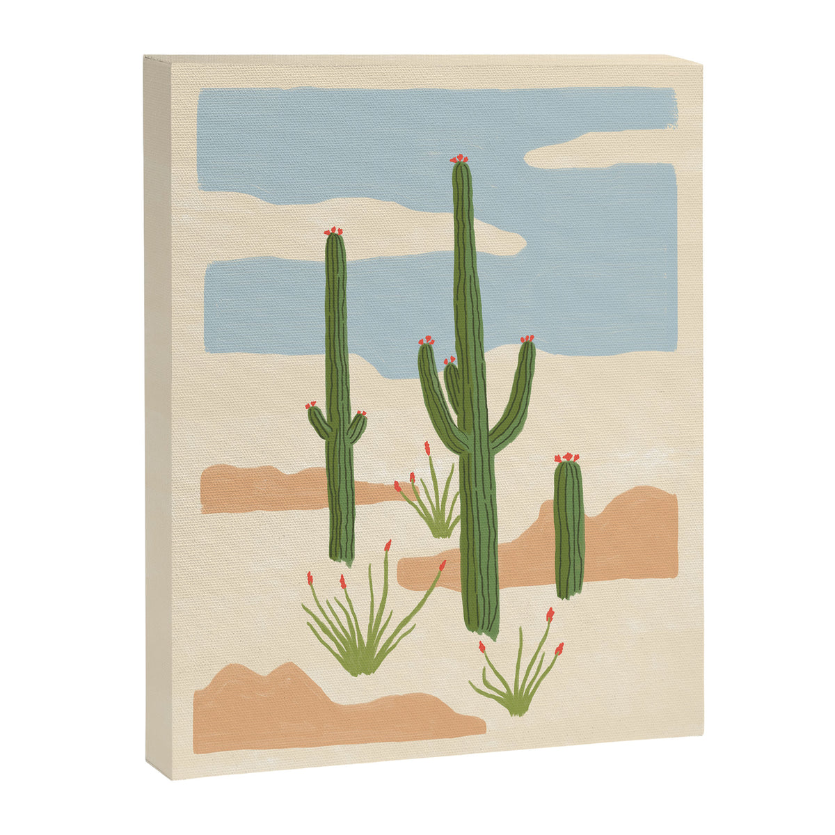 Desert Still Life Canvas Print Gallery Image 6