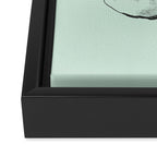 Fragments in Mint Framed Canvas Print Gallery Image 3