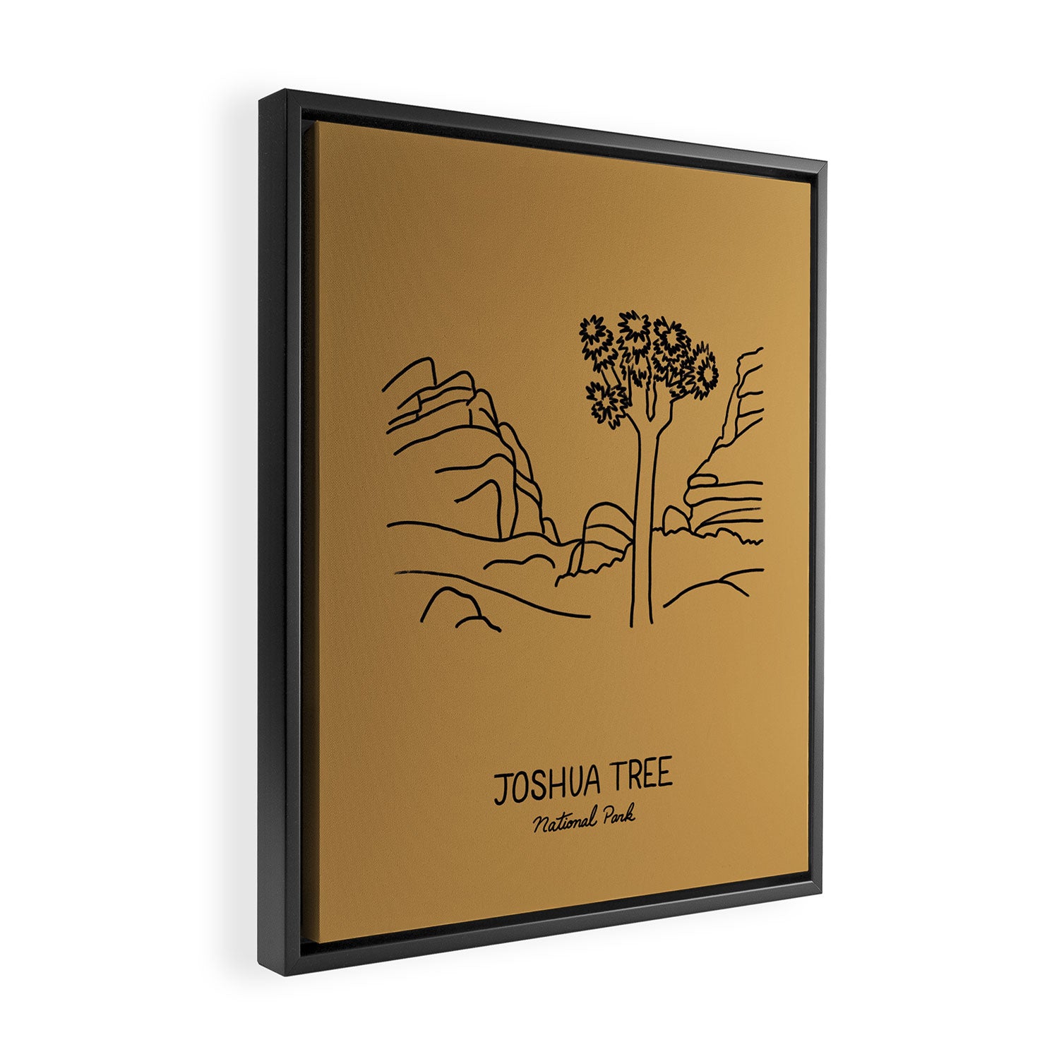 Joshua Tree National Park Framed Canvas Print Gallery Image 2