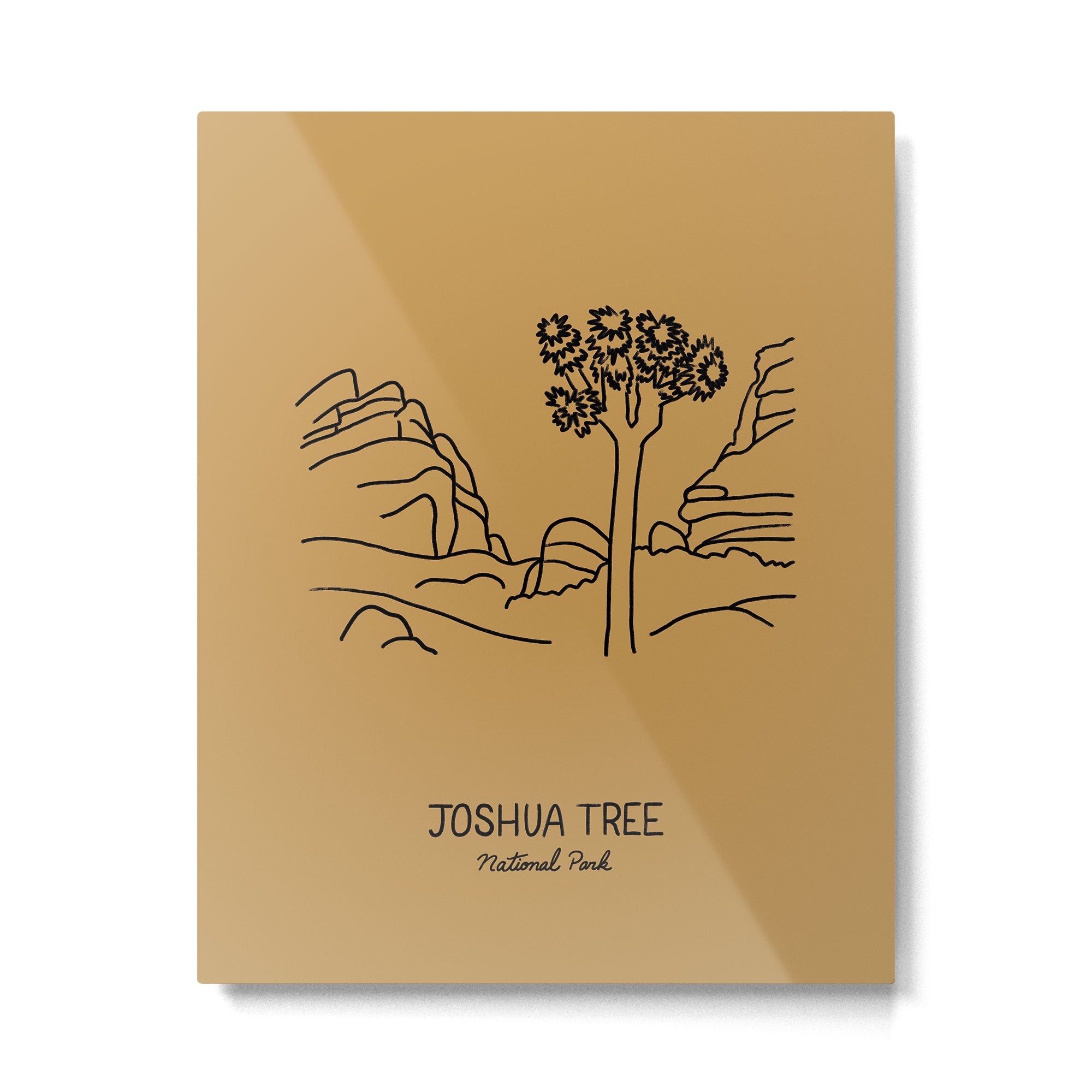 Joshua Tree National Park Metal Print Gallery Image 4