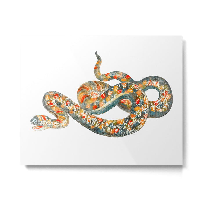 A snake by Johan Teyler  Metal Print Gallery Image 1