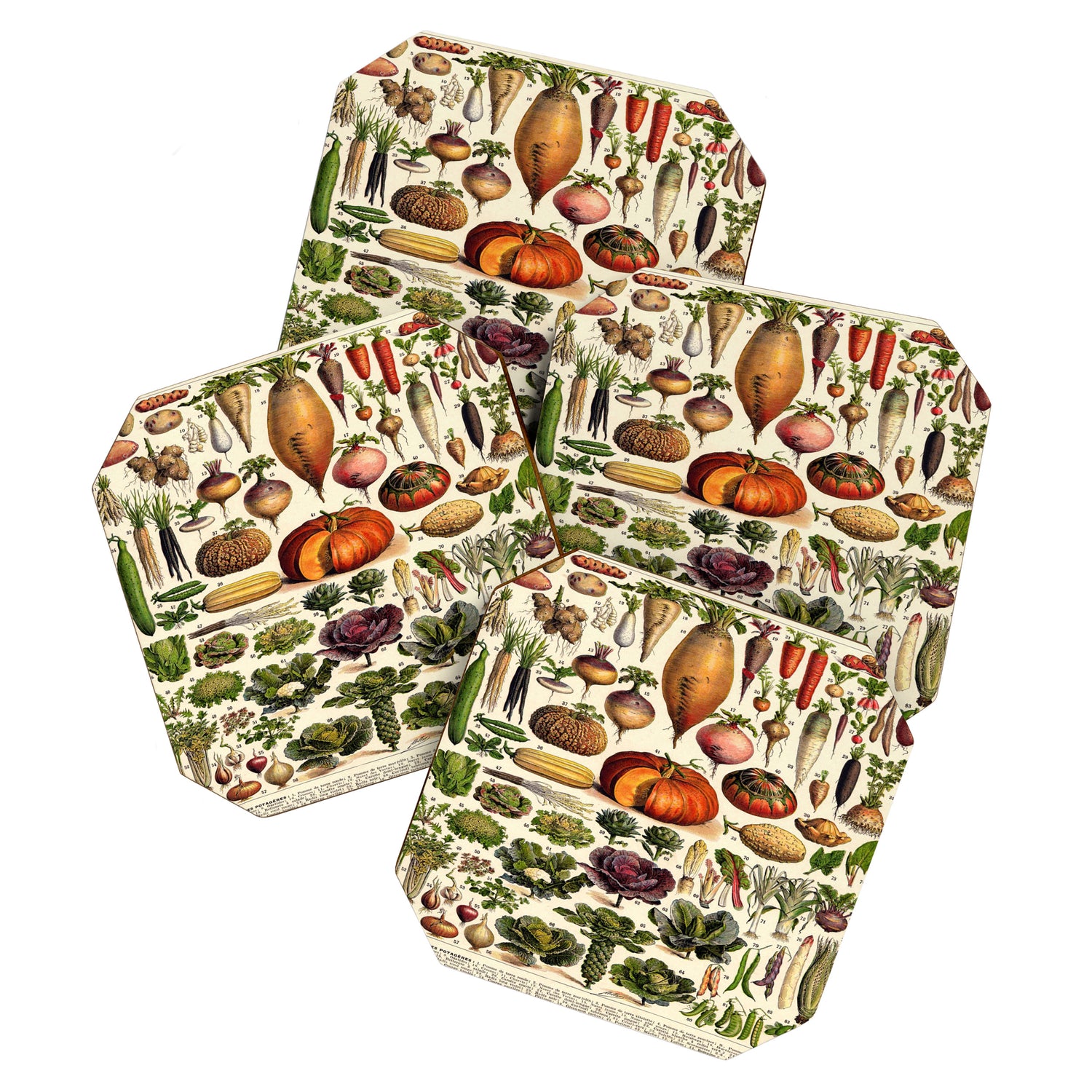 Adolphe Millot Legumes Plant Potageres Vintage Scientific Encyclopedia Illustration Lithograph  Coaster Gallery Image 1