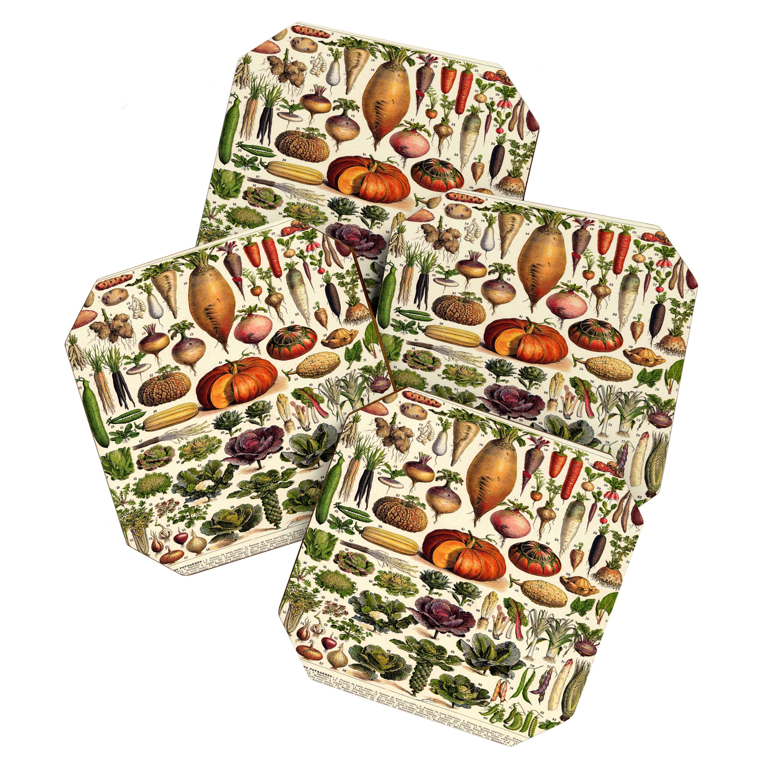Adolphe Millot Legumes Plant Potageres Vintage Scientific Encyclopedia Illustration Lithograph  Coaster Gallery Image 1