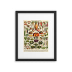 Adolphe Millot Legumes Plant Potageres Vintage Scientific Encyclopedia Illustration Lithograph  Framed Art Print Gallery Image 5