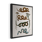 Albertus Seba Baby Breath Snakes  Framed Canvas Print Gallery Image 2