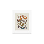 Albertus SEBA four snake scales  Art Print Gallery Image 1