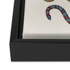 Albertus SEBA four snake scales  Framed Canvas Print Gallery Image 3