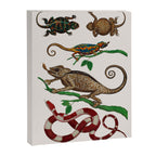 Albertus Seba Iguana And Snakes Canvas Print Gallery Image 6