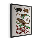 Albertus Seba Iguana And Snakes Framed Canvas Print Gallery Image 2