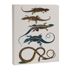 Albertus Seba Snakes And Lizards Blue Canvas Print Gallery Image 6