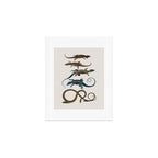 Albertus Seba Snakes And Lizards Blue Art Print Gallery Image 1
