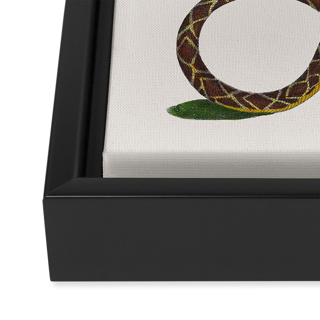 Albertus Seba Snakes And Lizards Blue Framed Canvas Print Gallery Image 3