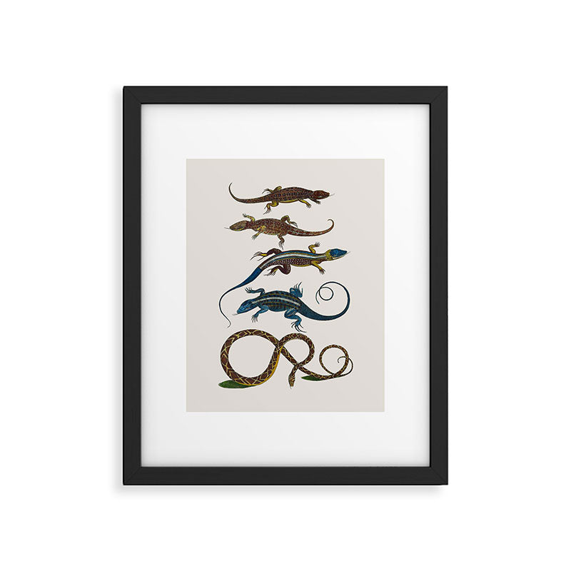 Albertus Seba Snakes And Lizards Blue Framed Art Print Gallery Image 5