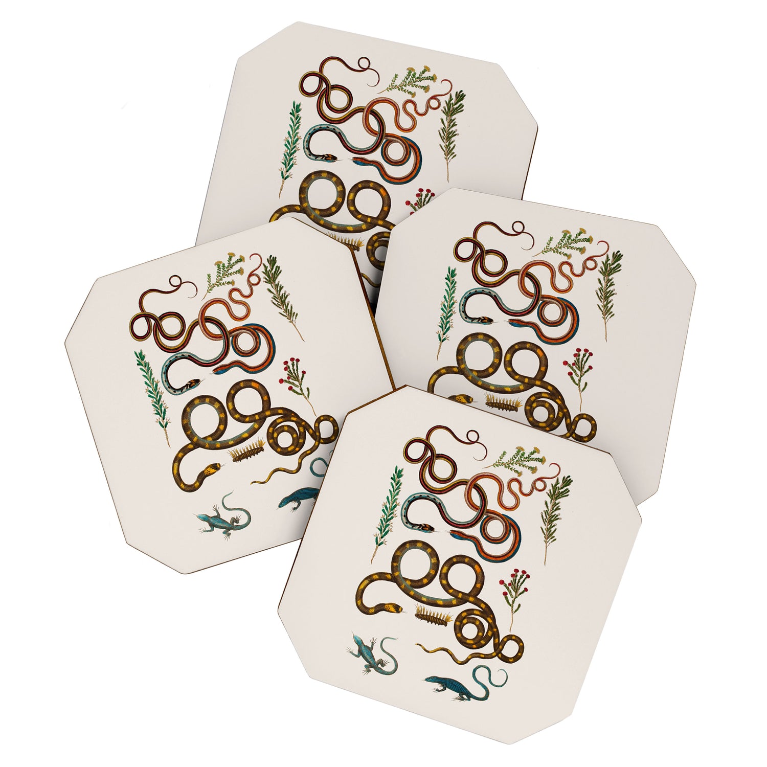 Albertus Seba Snakes And Lizards Coaster Gallery Image 1