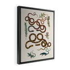 Albertus Seba Snakes And Lizards Framed Canvas Print Gallery Image 2