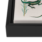 Albertus Seba Snakes And Lizards Teal Framed Canvas Print Gallery Image 3