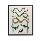 Albertus Seba Snakes And Lizards Teal Framed Canvas Print Gallery Image 6