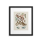 Albertus Seba Snakes And Lizards Framed Art Print Gallery Image 5