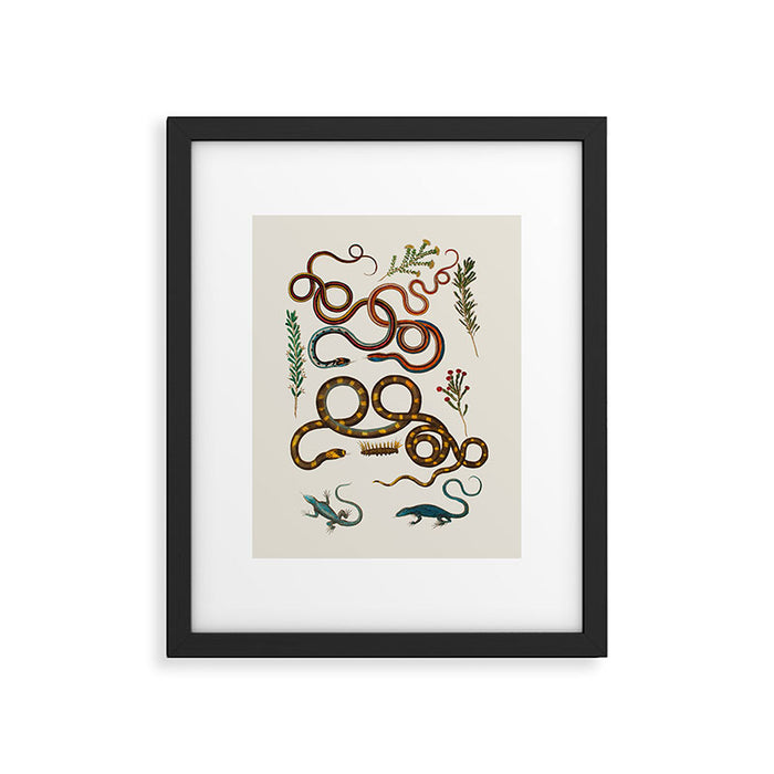 Albertus Seba Snakes And Lizards Framed Art Print Gallery Image 1