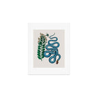 Albertus Seba Snakes Blue Snake  Art Print Gallery Image 1