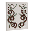 Albertus Seba Snakes  Double Spiral Vines  Canvas Print Gallery Image 6