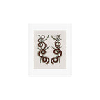 Albertus Seba Snakes  Double Spiral Vines  Art Print Gallery Image 1