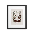 Albertus Seba Snakes  Double Spiral Vines  Framed Art Print Gallery Image 5