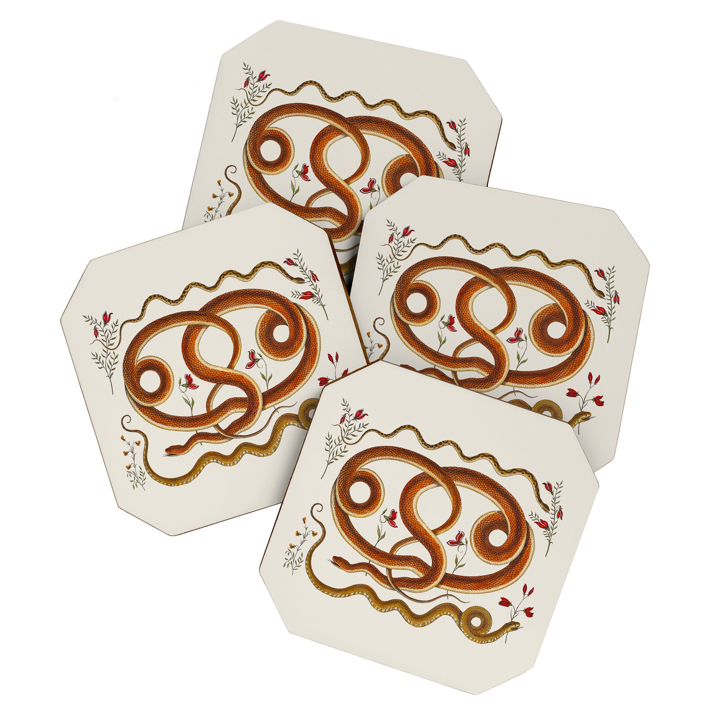 Albertus Seba Snakes Flowers Engraving ii Coaster Gallery Image 1