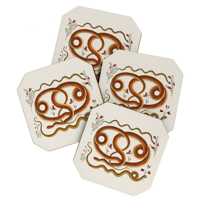 Albertus Seba Snakes Flowers Engraving ii Coaster Gallery Image 1